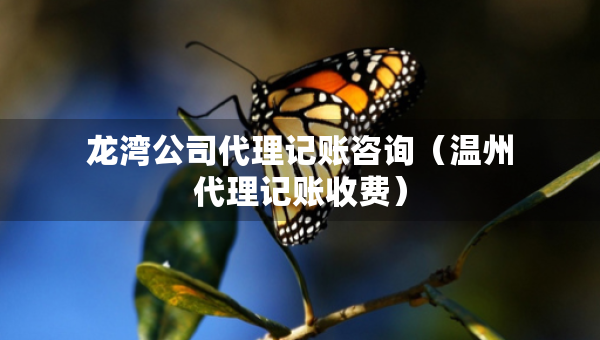 龍灣公司代理記賬咨詢（溫州代理記賬收費(fèi)）