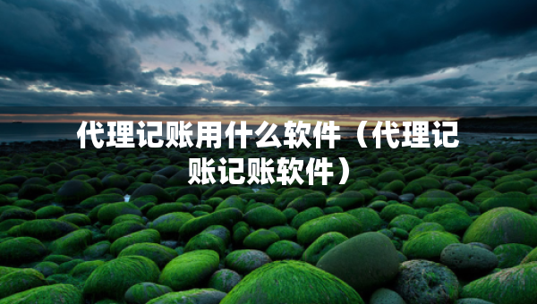 代理記賬用什么軟件（代理記賬記賬軟件）