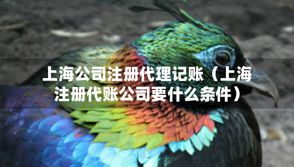 上海公司注冊(cè)代理記賬（上海注冊(cè)代賬公司要什么條件）