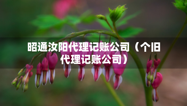 昭通汝陽(yáng)代理記賬公司（個(gè)舊代理記賬公司）