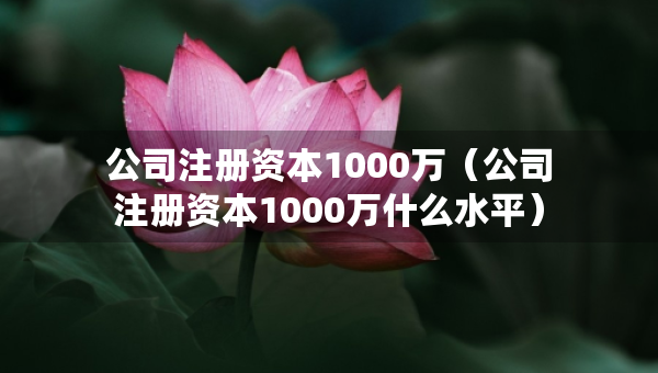 公司注冊資本1000萬（公司注冊資本1000萬什么水平）