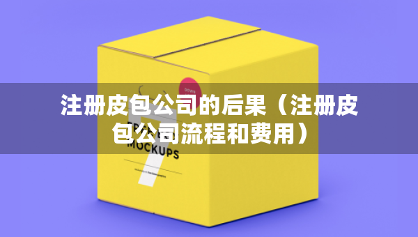 注冊(cè)皮包公司的后果（注冊(cè)皮包公司流程和費(fèi)用）