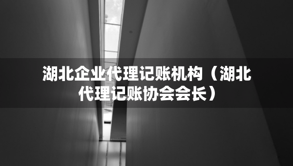 湖北企業(yè)代理記賬機構(gòu)（湖北代理記賬協(xié)會會長）