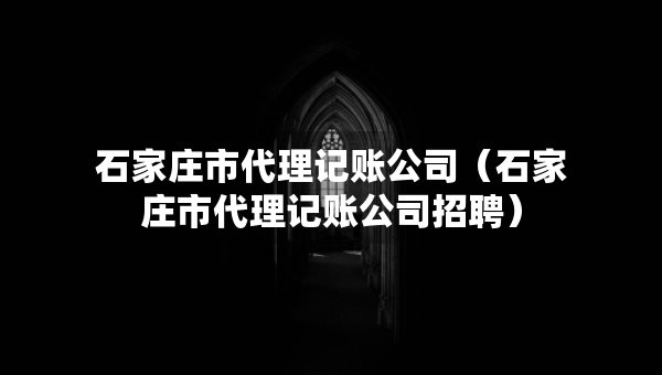 石家莊市代理記賬公司（石家莊市代理記賬公司招聘）