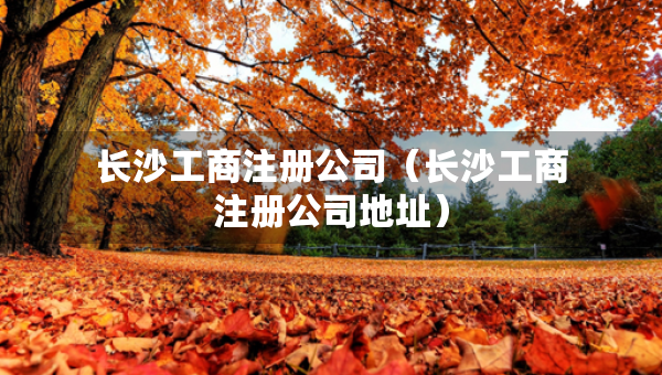 長(zhǎng)沙工商注冊(cè)公司（長(zhǎng)沙工商注冊(cè)公司地址）