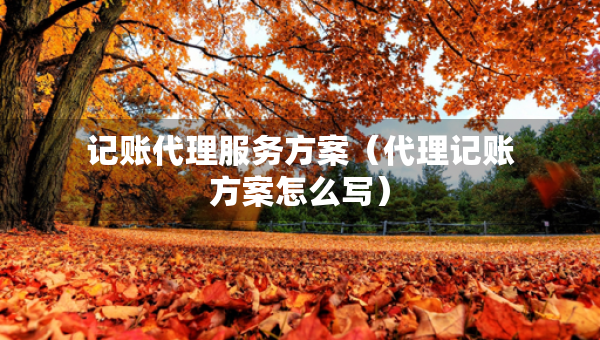 記賬代理服務(wù)方案（代理記賬方案怎么寫）