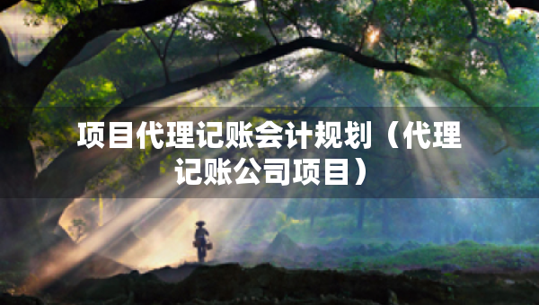 項目代理記賬會計規(guī)劃（代理記賬公司項目）