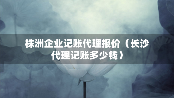 株洲企業(yè)記賬代理報價（長沙代理記賬多少錢）