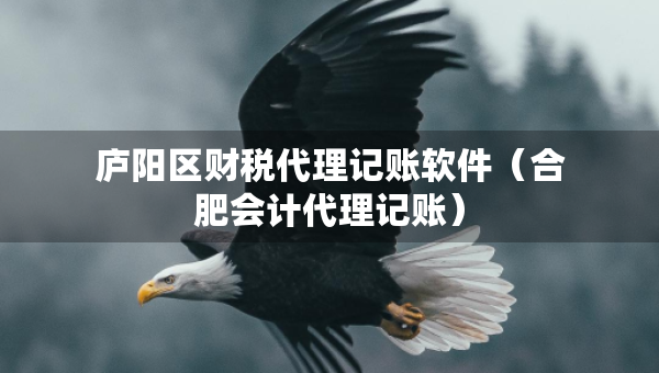 廬陽區(qū)財稅代理記賬軟件（合肥會計代理記賬）