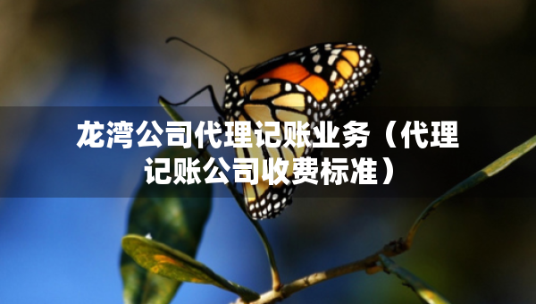 龍灣公司代理記賬業(yè)務(wù)（代理記賬公司收費標(biāo)準）