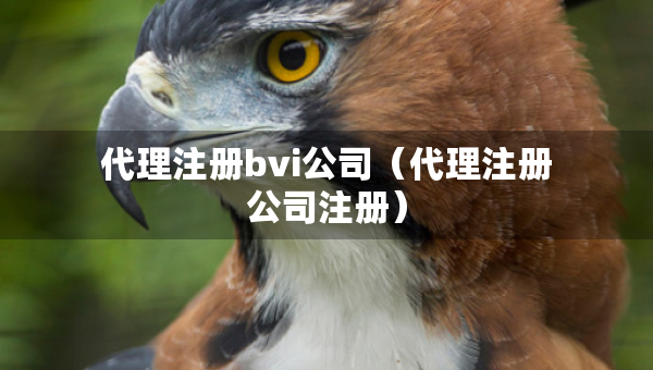 代理注冊(cè)bvi公司（代理注冊(cè)公司注冊(cè)）