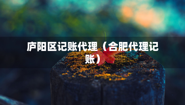 廬陽(yáng)區(qū)記賬代理（合肥代理記賬）