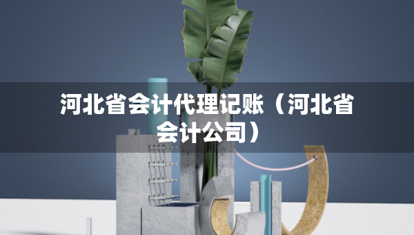 河北省會(huì)計(jì)代理記賬（河北省會(huì)計(jì)公司）