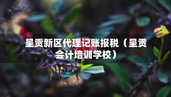 呈貢新區(qū)代理記賬報(bào)稅（呈貢會(huì)計(jì)培訓(xùn)學(xué)校）