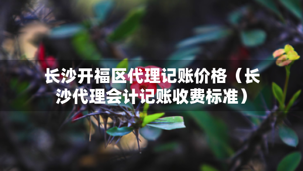 長沙開福區(qū)代理記賬價格（長沙代理會計記賬收費標準）