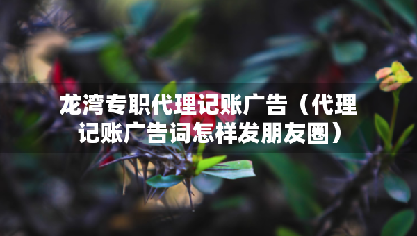 龍灣專職代理記賬廣告（代理記賬廣告詞怎樣發(fā)朋友圈）