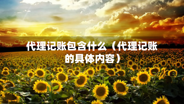 代理記賬包含什么（代理記賬的具體內(nèi)容）