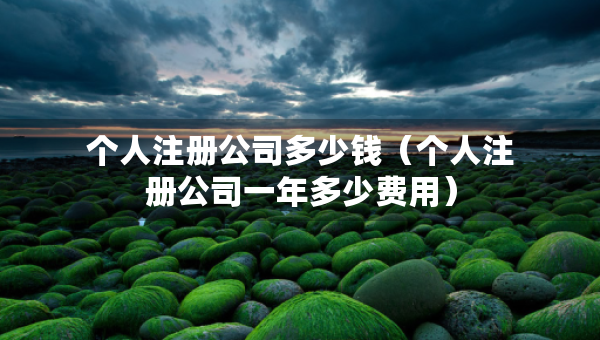 個(gè)人注冊(cè)公司多少錢（個(gè)人注冊(cè)公司一年多少費(fèi)用）