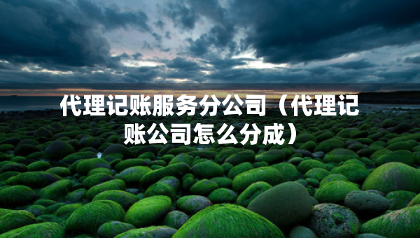 代理記賬服務(wù)分公司（代理記賬公司怎么分成）