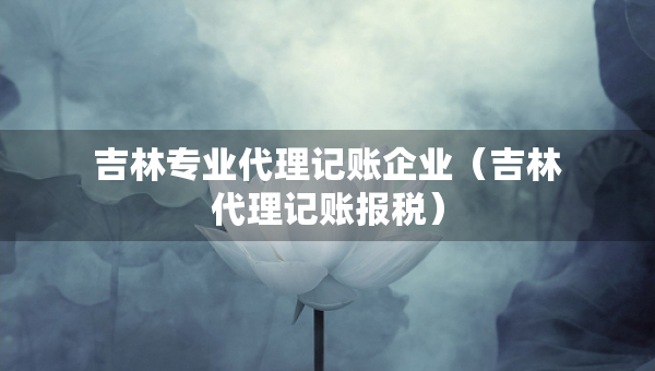 吉林專業(yè)代理記賬企業(yè)（吉林代理記賬報(bào)稅）