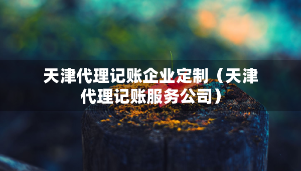 天津代理記賬企業(yè)定制（天津代理記賬服務(wù)公司）