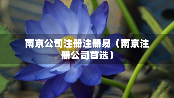 南京公司注冊(cè)注冊(cè)易（南京注冊(cè)公司首選）