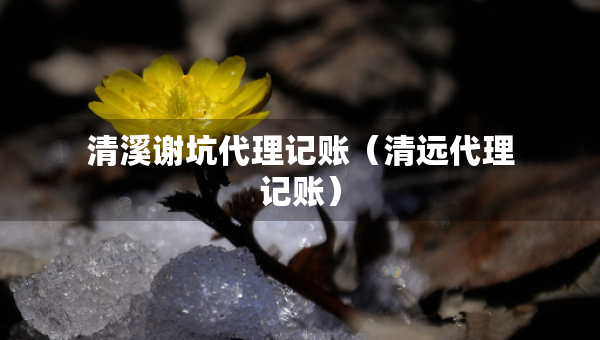 清溪謝坑代理記賬（清遠(yuǎn)代理記賬）