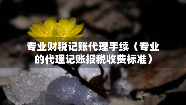 專業(yè)財(cái)稅記賬代理手續(xù)（專業(yè)的代理記賬報(bào)稅收費(fèi)標(biāo)準(zhǔn)）