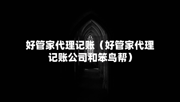 好管家代理記賬（好管家代理記賬公司和笨鳥幫）