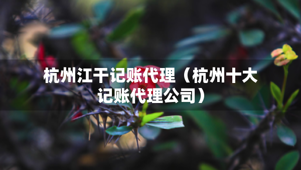 杭州江干記賬代理（杭州十大記賬代理公司）