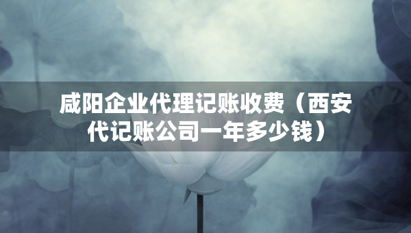 咸陽企業(yè)代理記賬收費（西安代記賬公司一年多少錢）