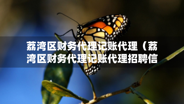 荔灣區(qū)財(cái)務(wù)代理記賬代理（荔灣區(qū)財(cái)務(wù)代理記賬代理招聘信息）