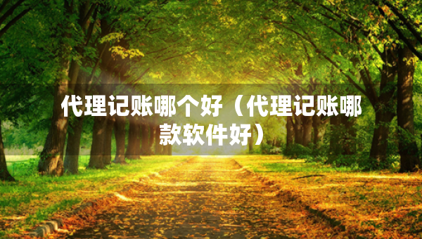 代理記賬哪個好（代理記賬哪款軟件好）