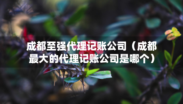 成都至強代理記賬公司（成都最大的代理記賬公司是哪個）