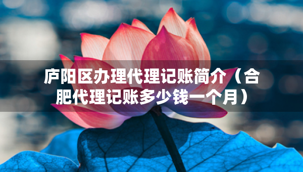 廬陽(yáng)區(qū)辦理代理記賬簡(jiǎn)介（合肥代理記賬多少錢一個(gè)月）