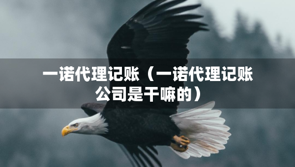 一諾代理記賬（一諾代理記賬公司是干嘛的）