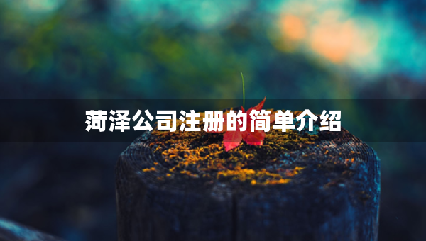 菏澤公司注冊(cè)的簡(jiǎn)單介紹