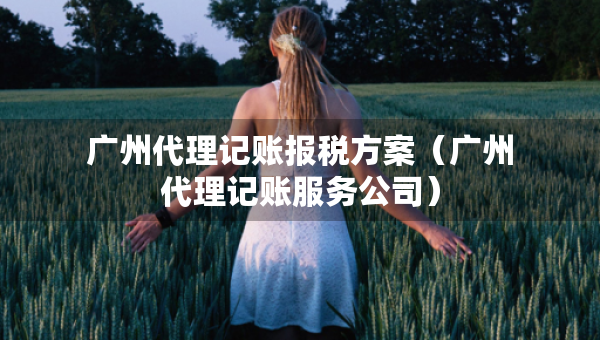 廣州代理記賬報(bào)稅方案（廣州代理記賬服務(wù)公司）