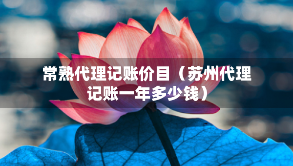 常熟代理記賬價(jià)目（蘇州代理記賬一年多少錢）