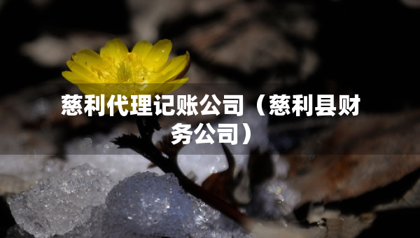 慈利代理記賬公司（慈利縣財務公司）