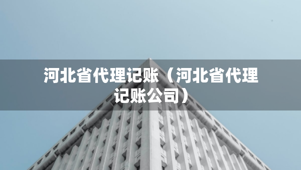 河北省代理記賬（河北省代理記賬公司）