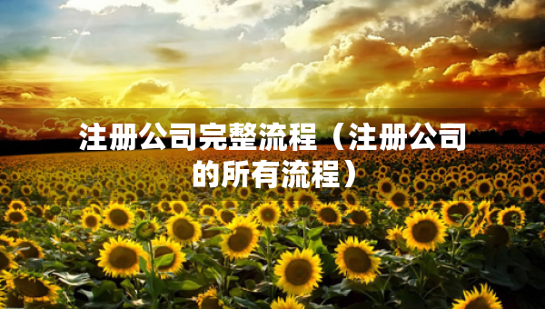 注冊公司完整流程（注冊公司的所有流程）