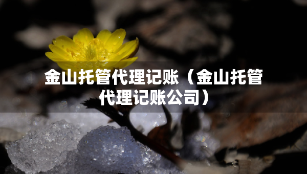 金山托管代理記賬（金山托管代理記賬公司）