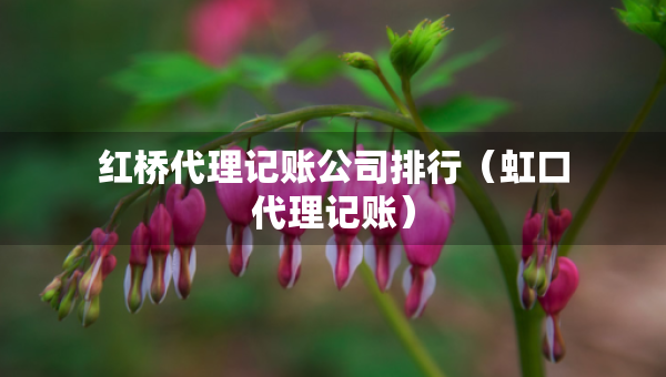 紅橋代理記賬公司排行（虹口代理記賬）