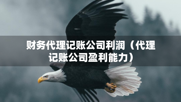 財務代理記賬公司利潤（代理記賬公司盈利能力）