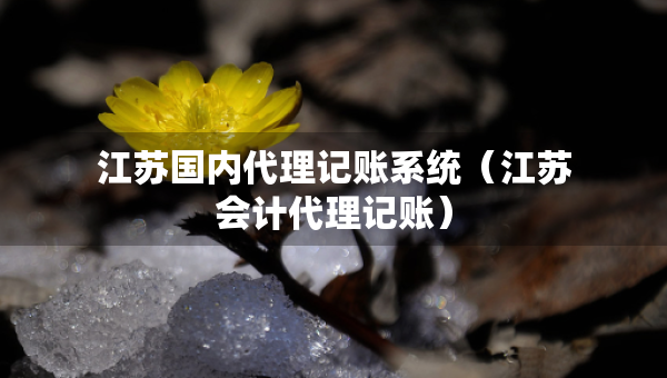 江蘇國內代理記賬系統(tǒng)（江蘇會計代理記賬）