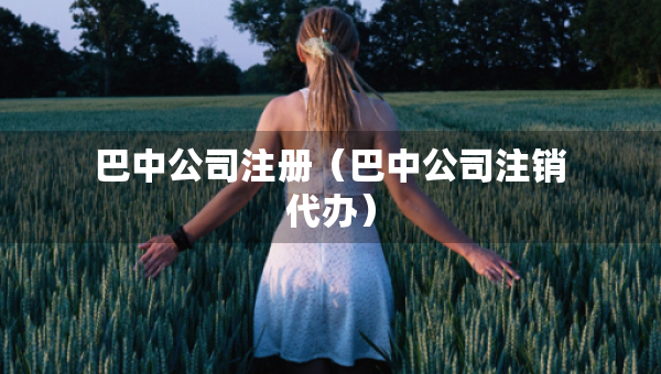 巴中公司注冊(cè)（巴中公司注銷代辦）