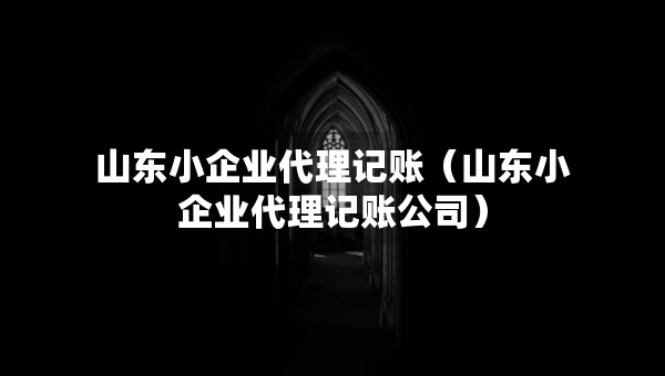 山東小企業(yè)代理記賬（山東小企業(yè)代理記賬公司）