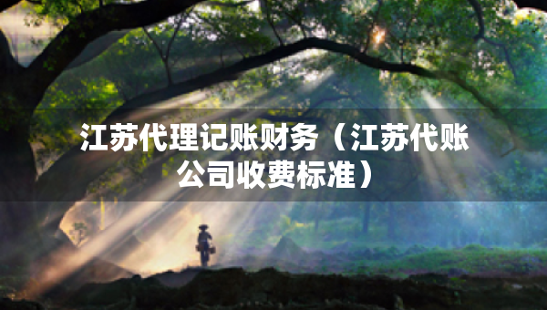 江蘇代理記賬財務(wù)（江蘇代賬公司收費標(biāo)準(zhǔn)）