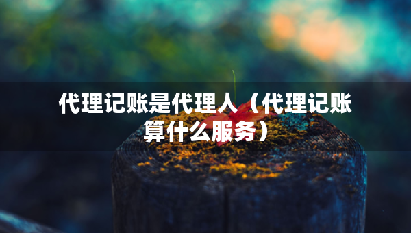 代理記賬是代理人（代理記賬算什么服務(wù)）